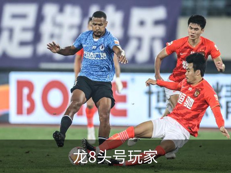 龙8头号玩家简介